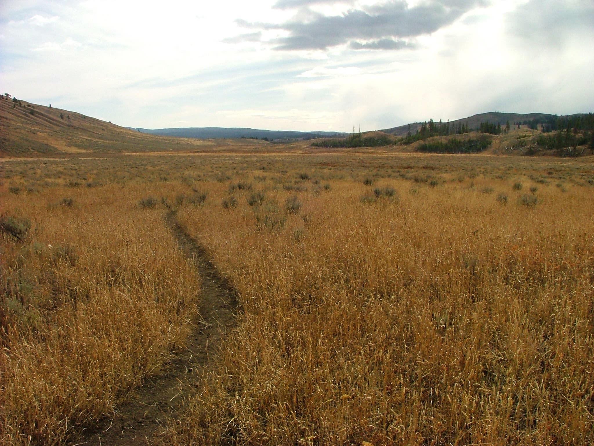 Sprawling Grassland None