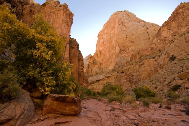 Spring Canyon None
