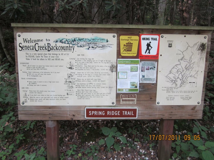 Morgantown, WV: Spruce Knob via Spring Ridge Trail