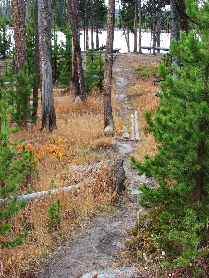 Spur Trail None