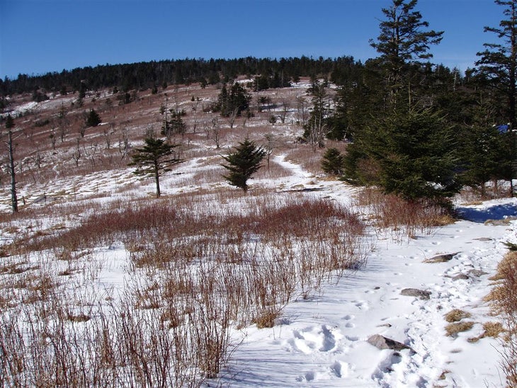 Spur trail None