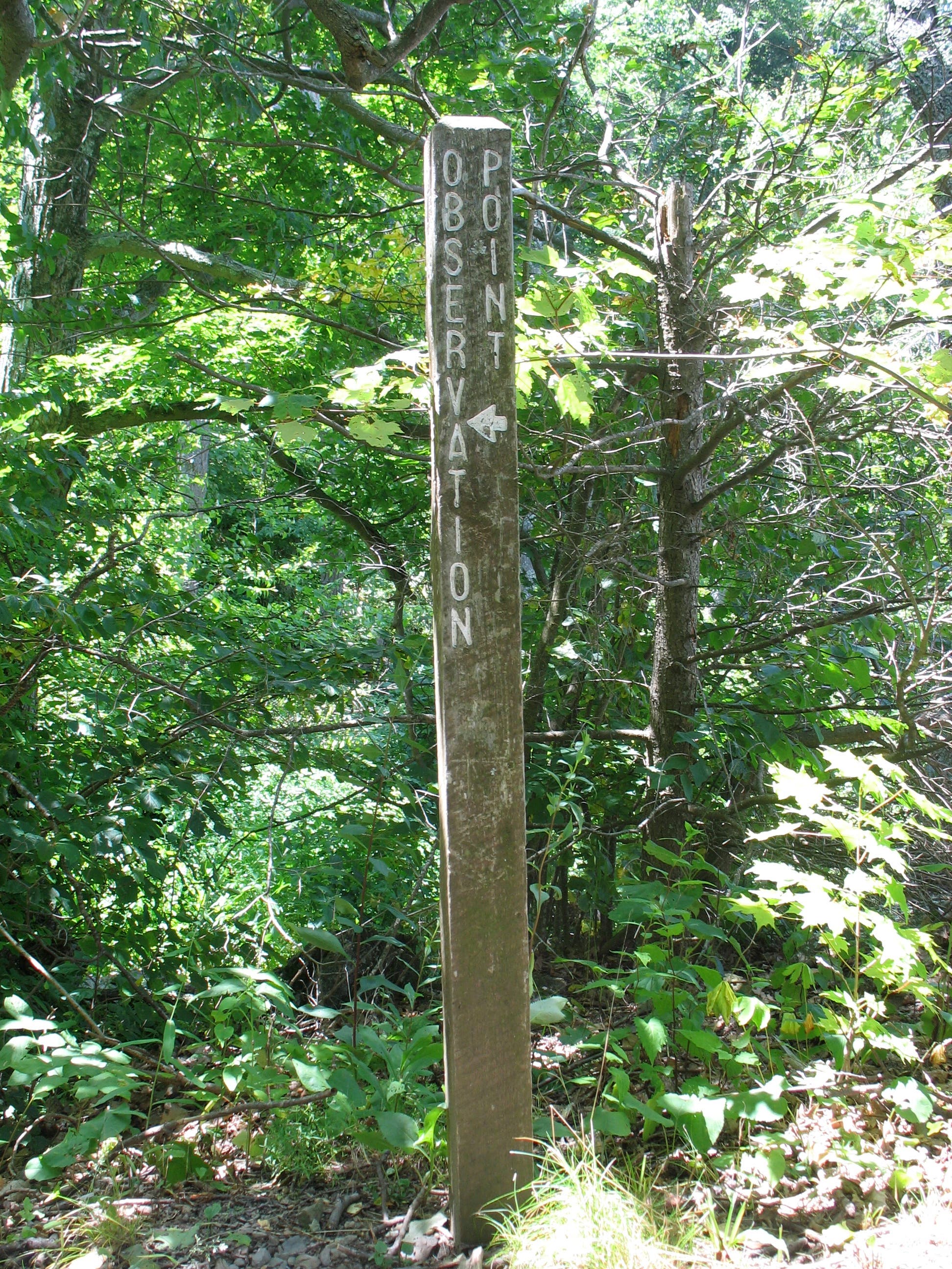 Spur Trail to Lewis Spring Falls Overlook None