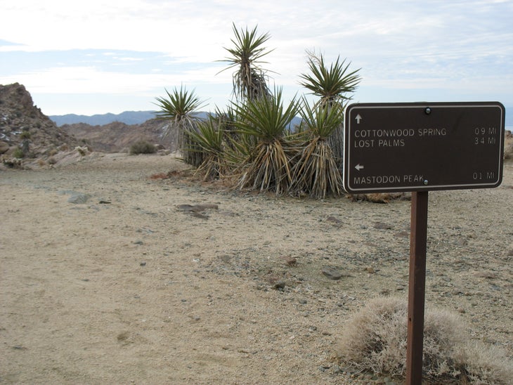 Spur Trail None