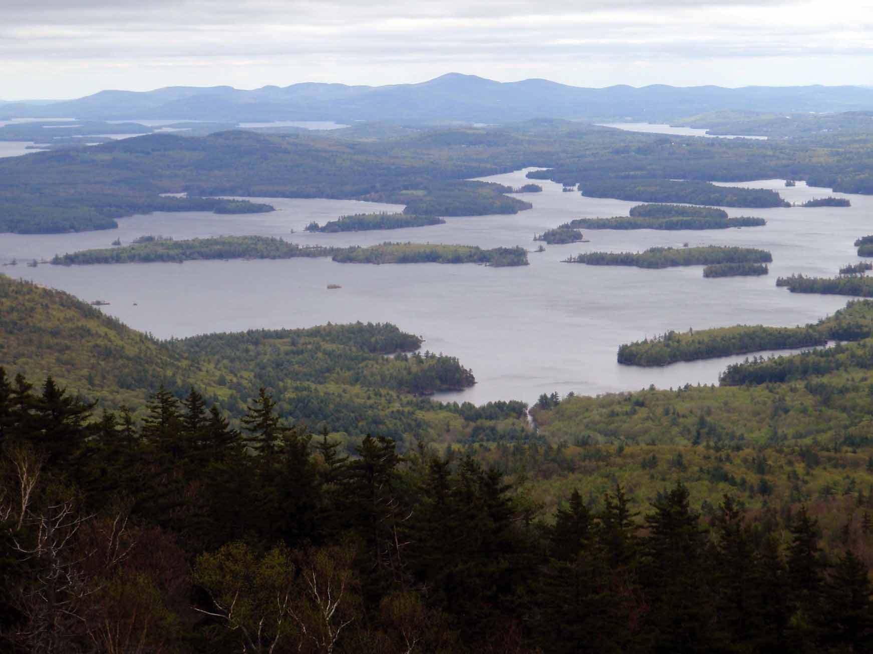 Squam Lake View None