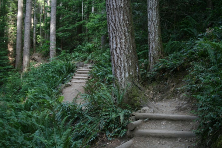 Stairmaster None