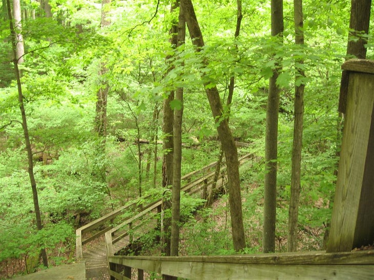 Stairs None