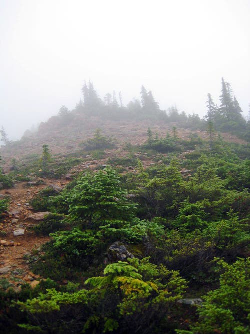 Start of the West Ridge None