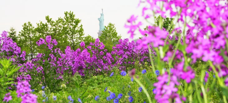 Statue of Liberty in the distance None