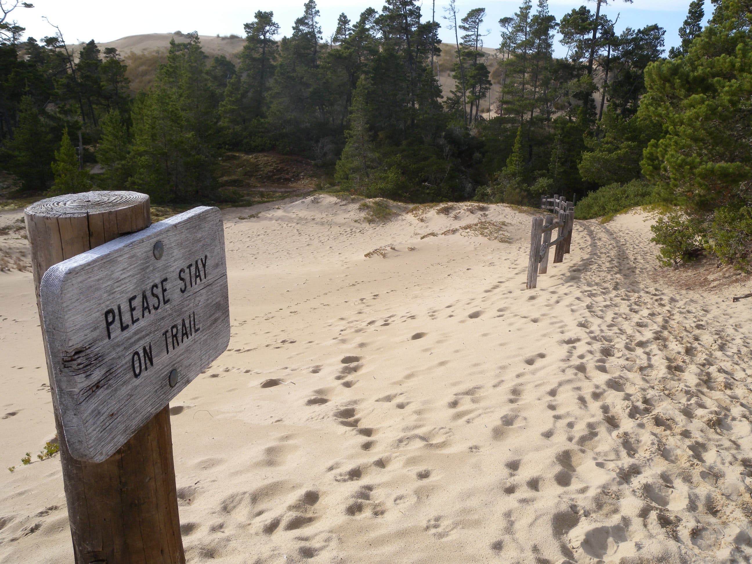 Stay on the Trail None