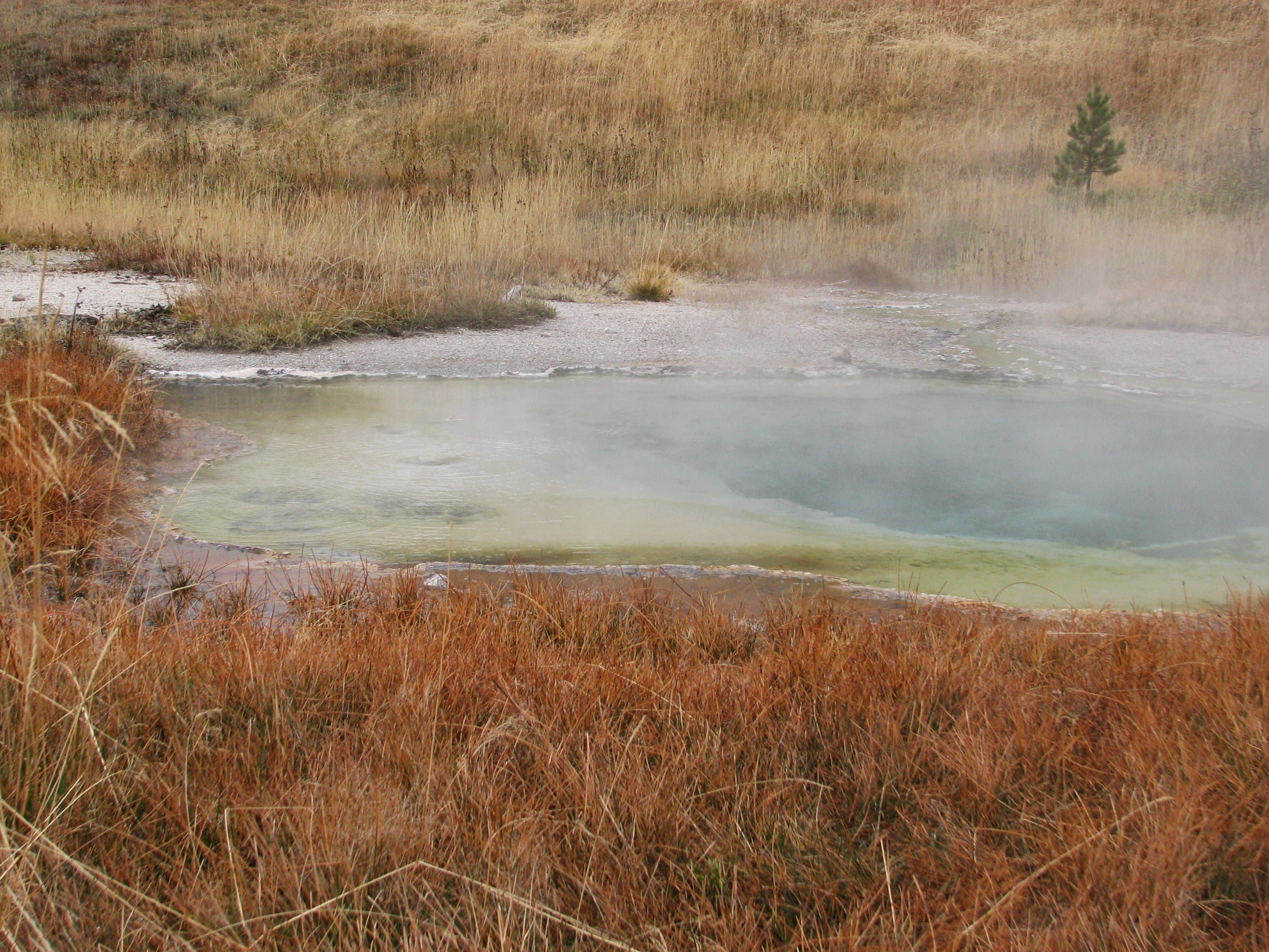 Steaming Stream None