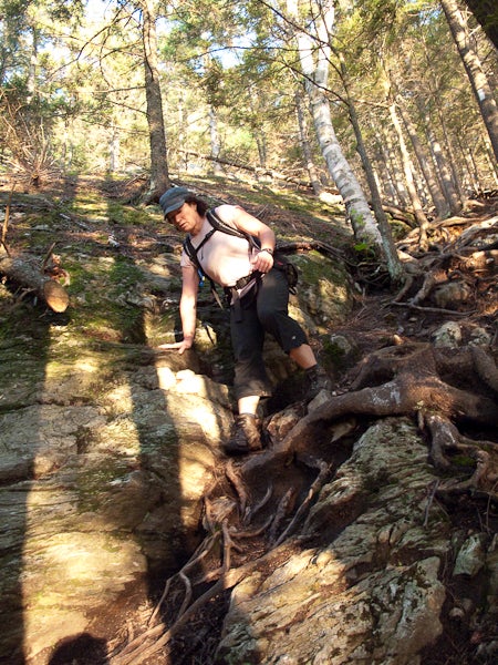 Steep Roots None