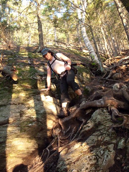 Steep Roots None