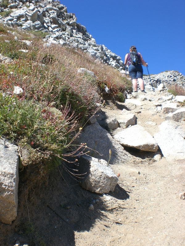 Steep Scree Ascent None