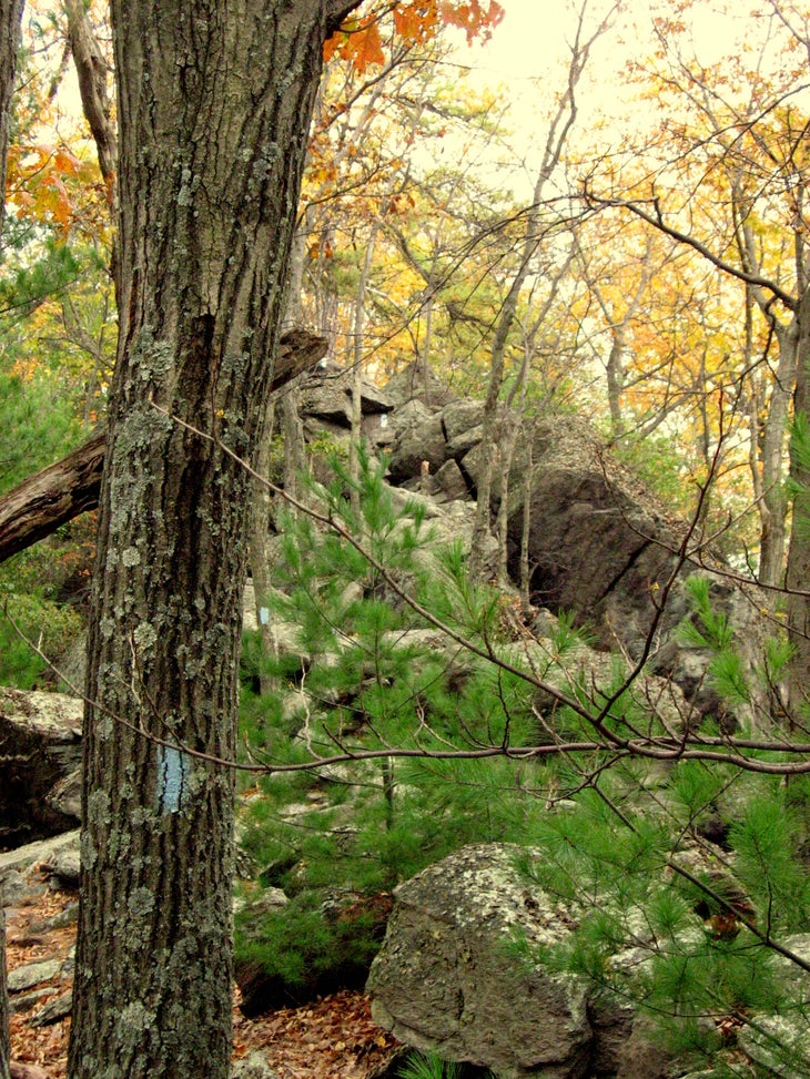 Steep Trail None