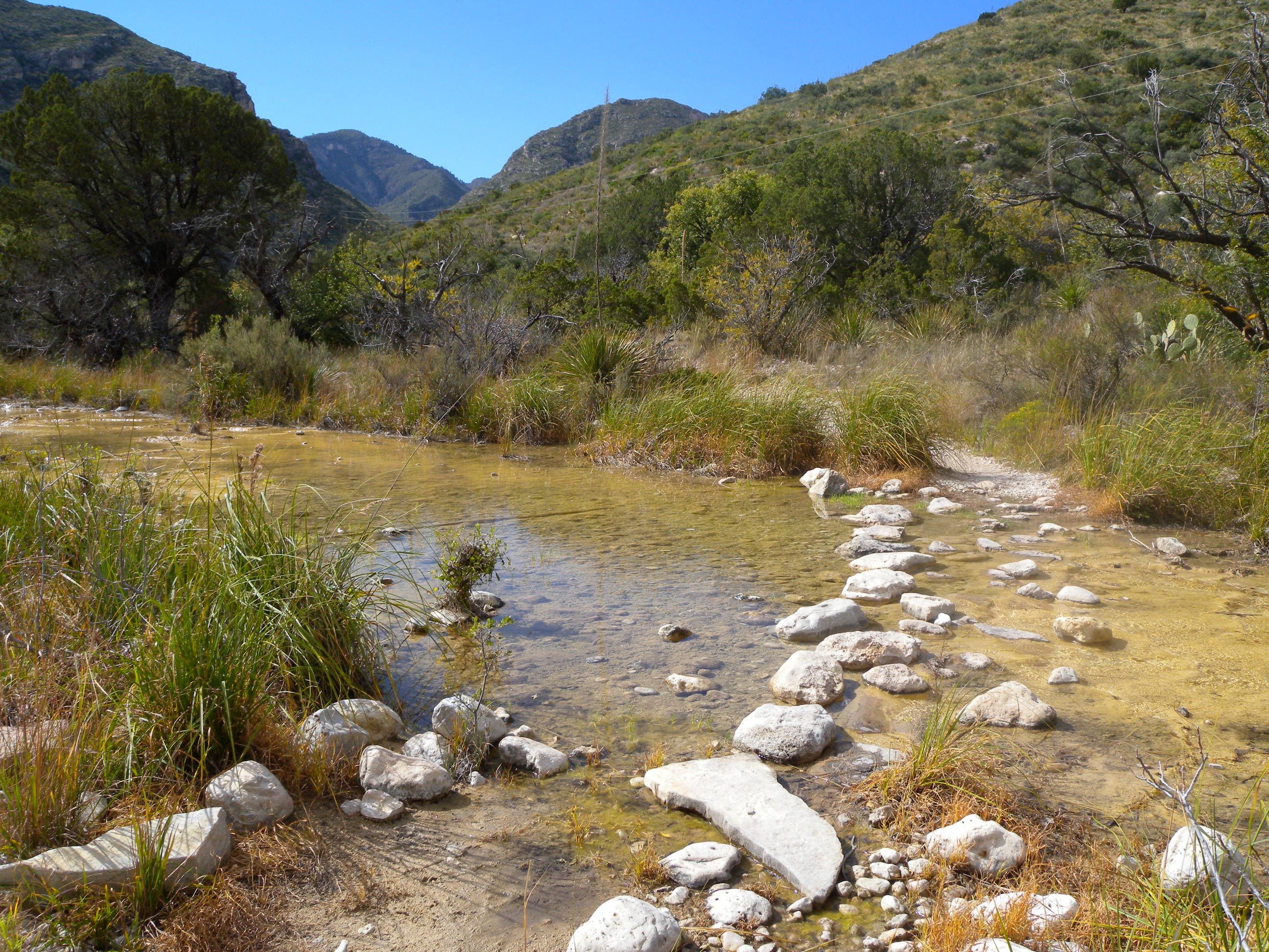 Stepping Stones None