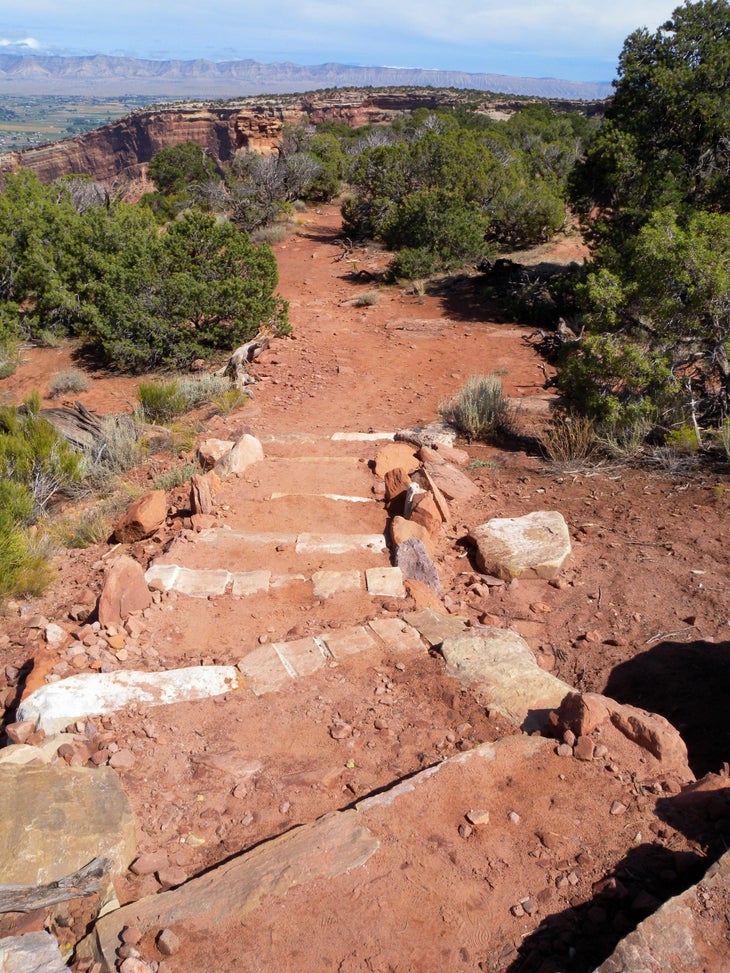 Steps None