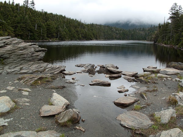 Sterling Pond None