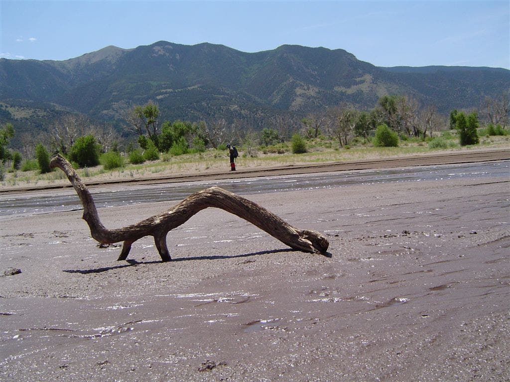 Stick in Medano Creek None