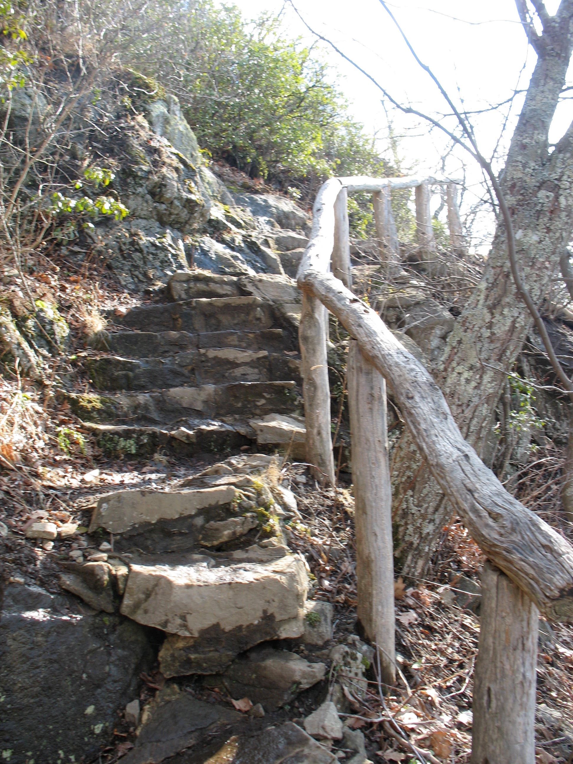 Stone-cut steps with wooden banisters along the Sharp Top Mountain trail. 