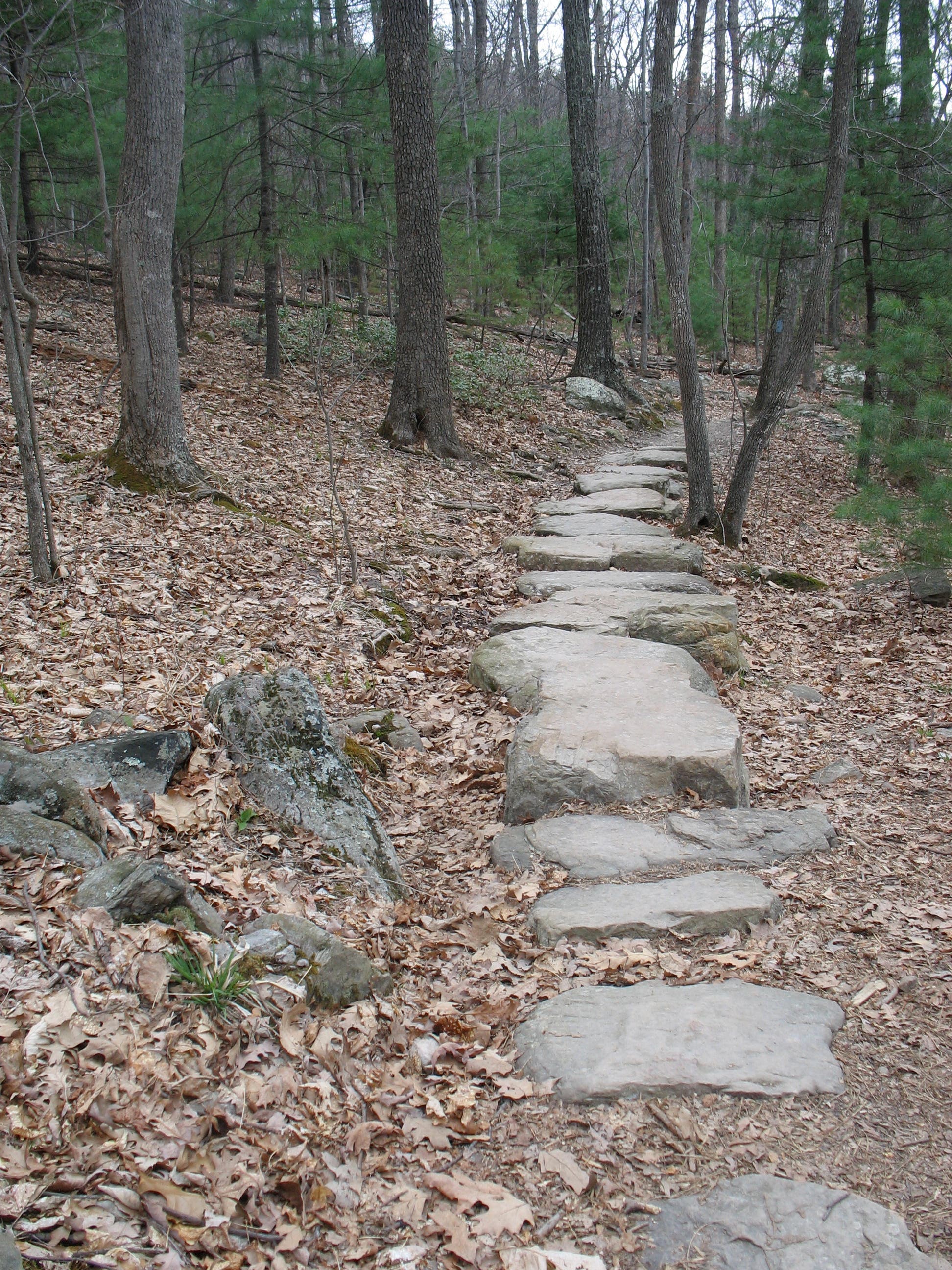 Stone Steps on Dragon's Tooth Trail None