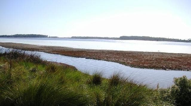 Stony Bayou Pools None