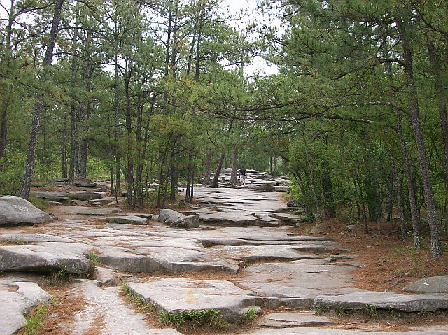 Stony path None