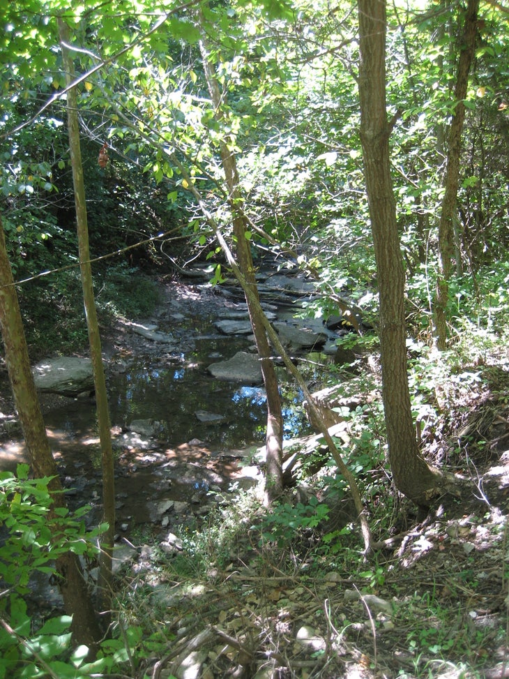 Stream None