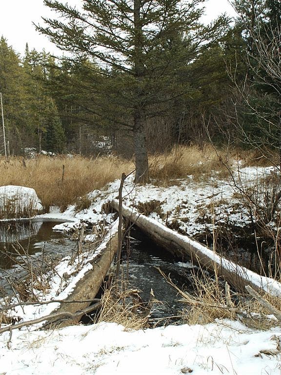 Stream Crossing None