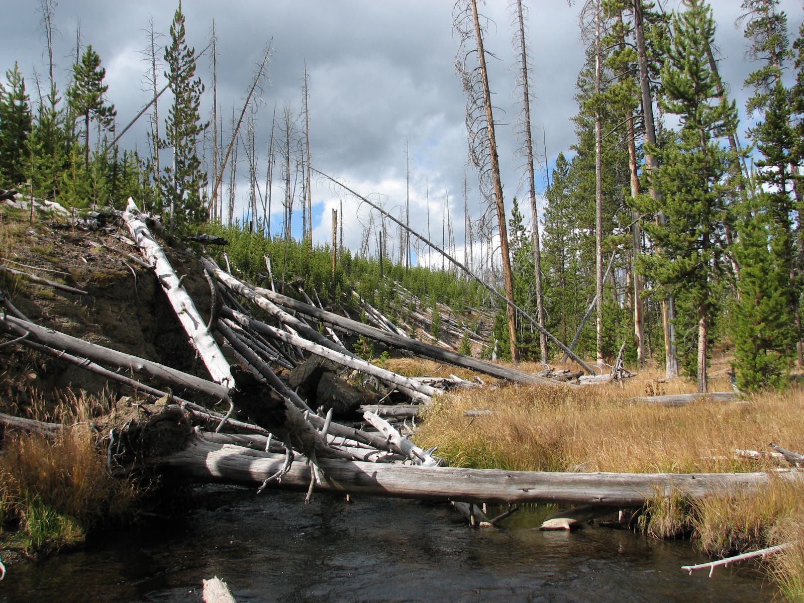 Stream Crossing None