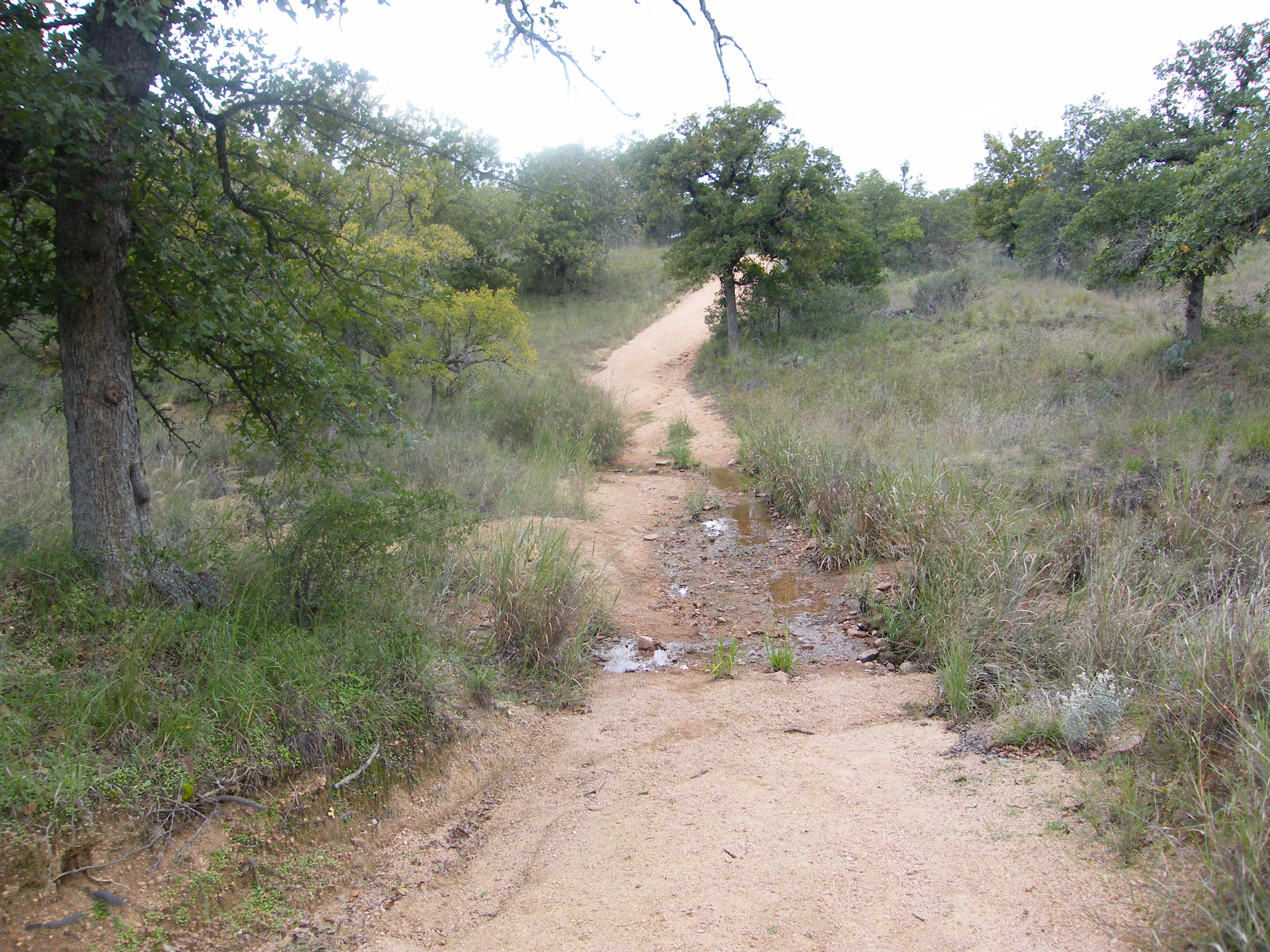 Stream Crossing None