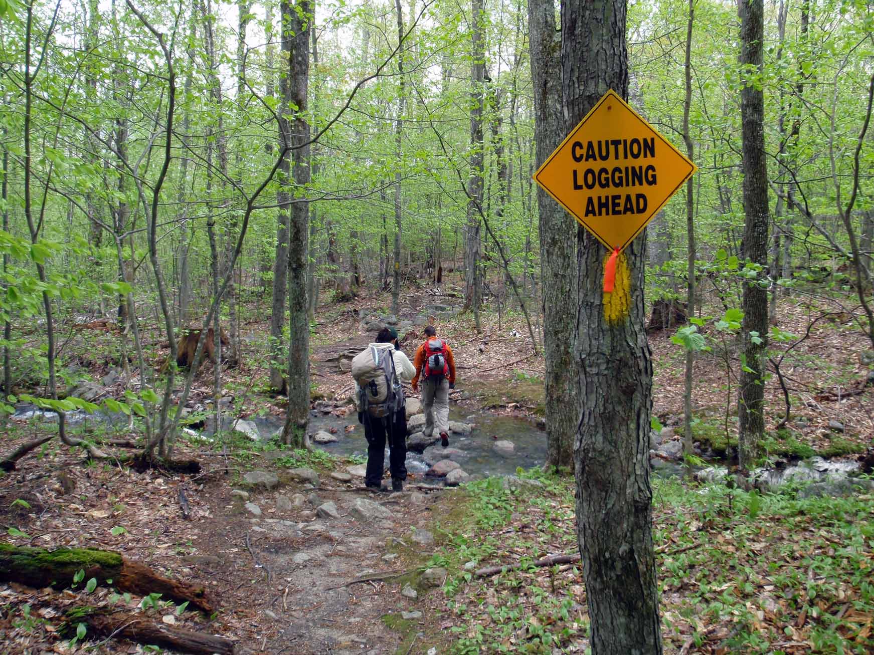 Stream Crossing None