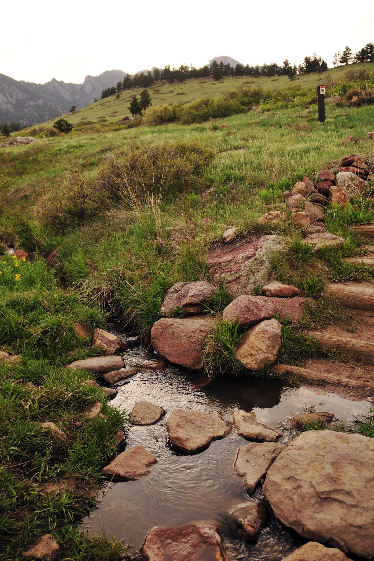 Stream Crossing None