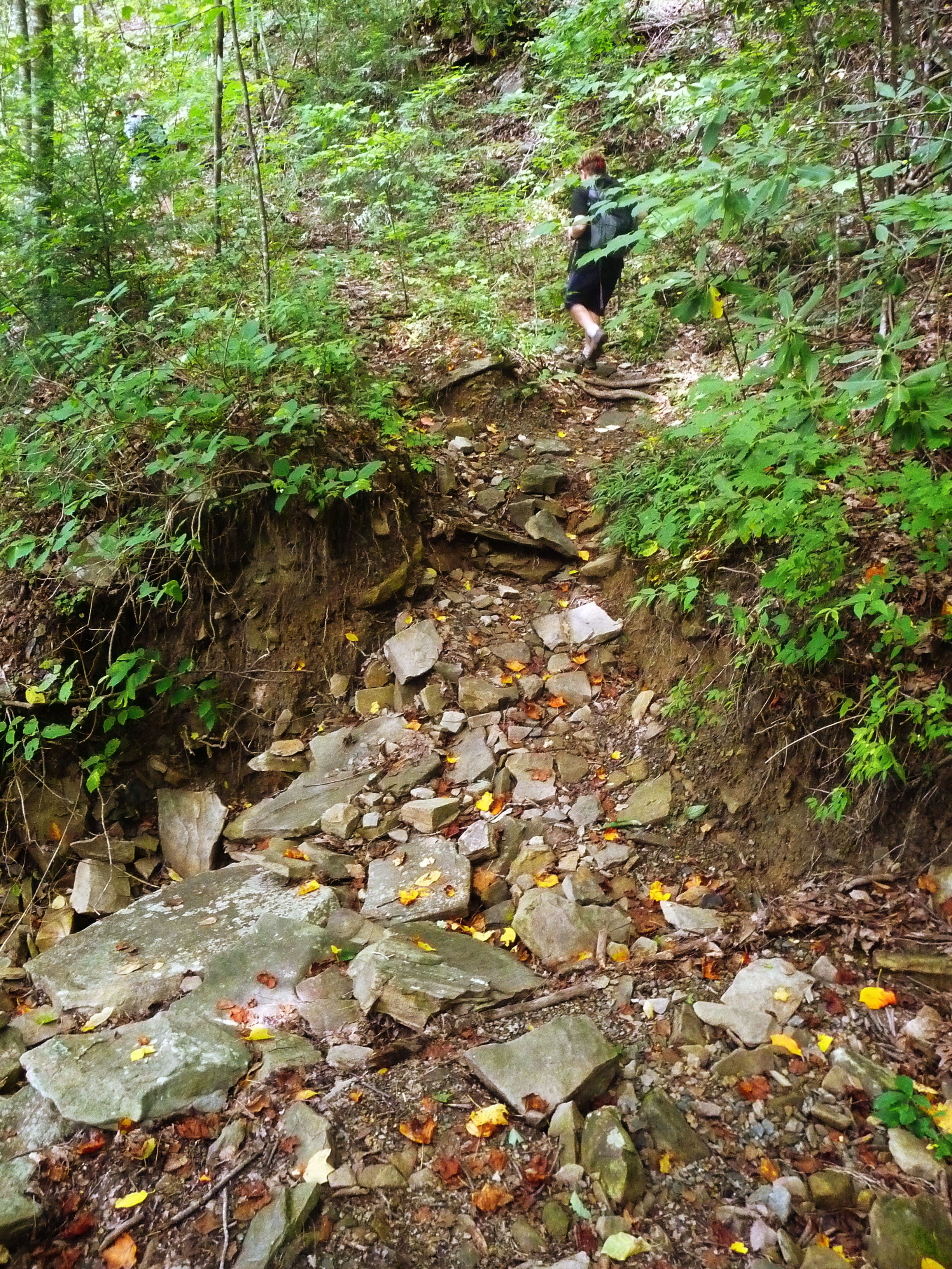 Stream crossing None