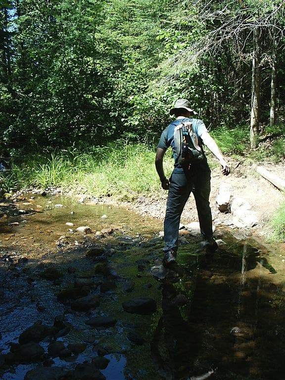 Stream Crossing None