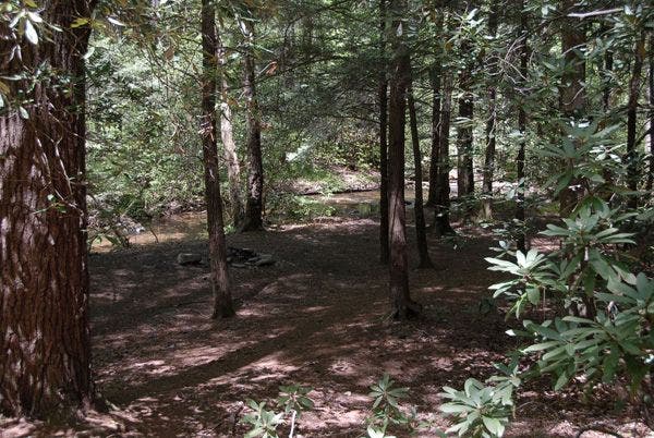 Streamside Campsite None