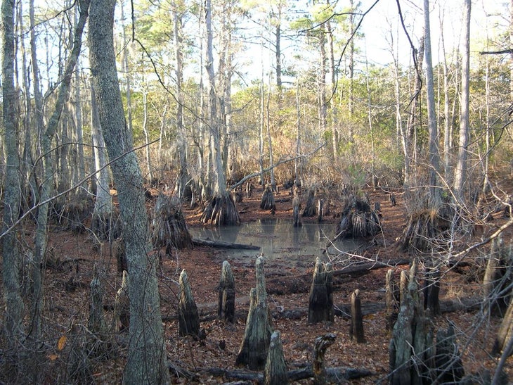 Stump Cemetary None