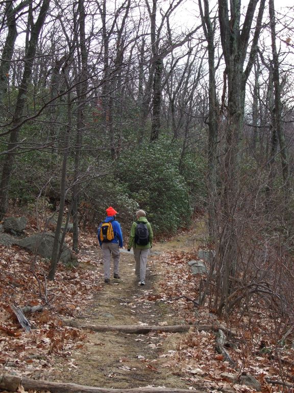 Sugarloaf Trail None