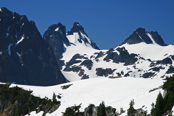 Summit Chief None