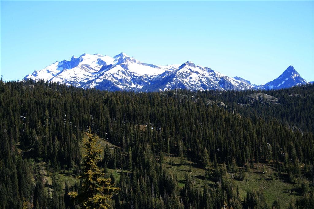 Summit Chief and Bears Breast None