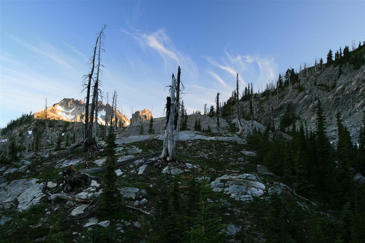 Summit Chief Sunrise None