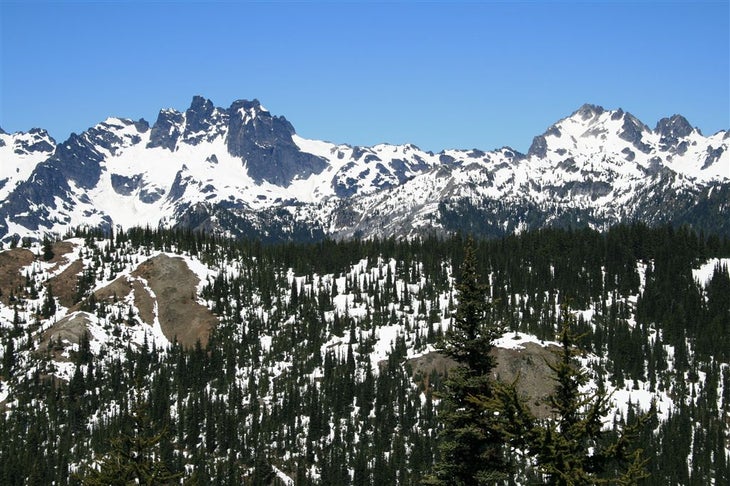 Summit Chief None
