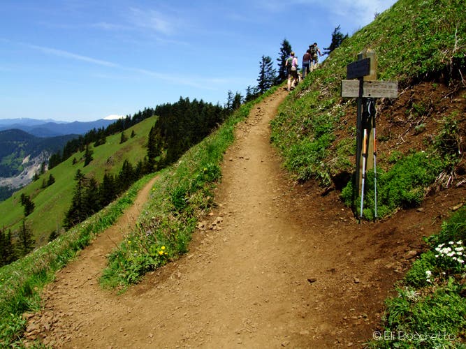 Summit Junction None