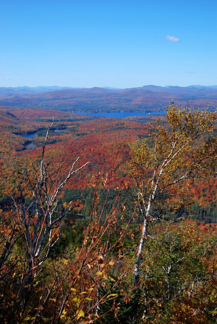 Summit View None