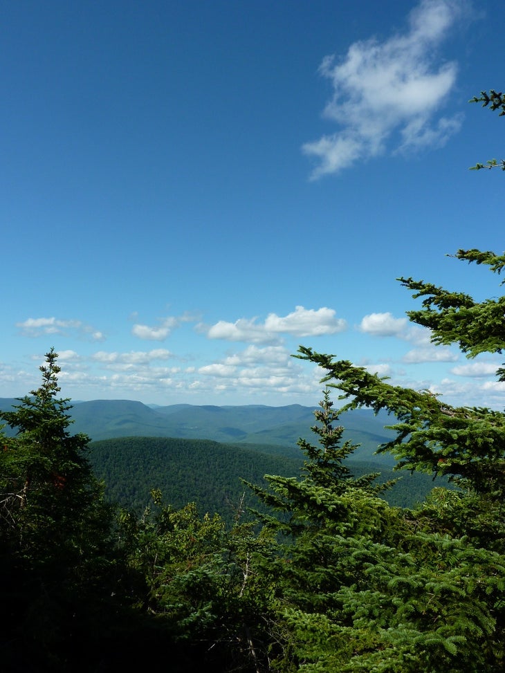 Catskills, NY: Panther Mountain