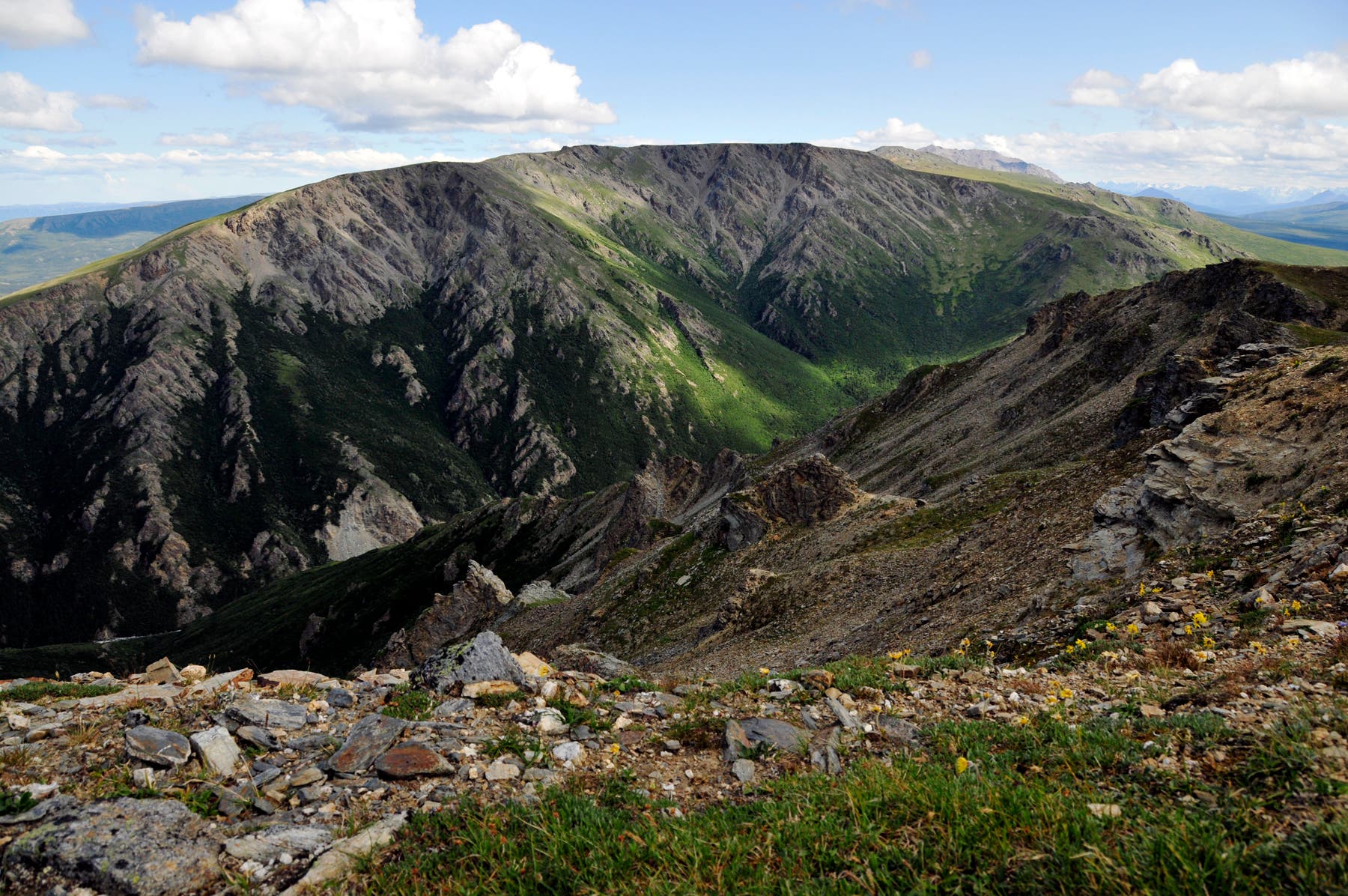 Summit Views of Primrose Ridge None