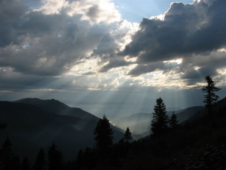 Sun Rays None