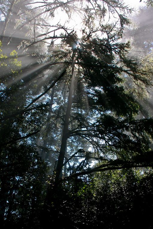 Point Reyes National Seashore, CA: Sky Camp