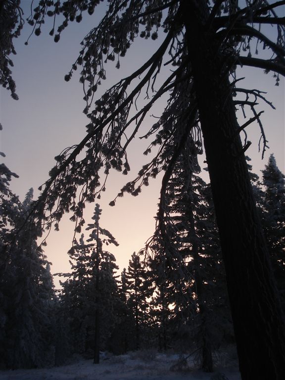 Sunrise None