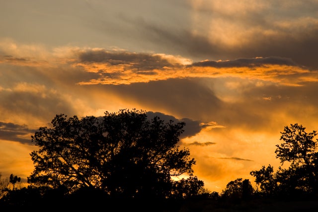 Sunset None