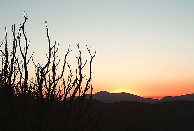 Sunset None